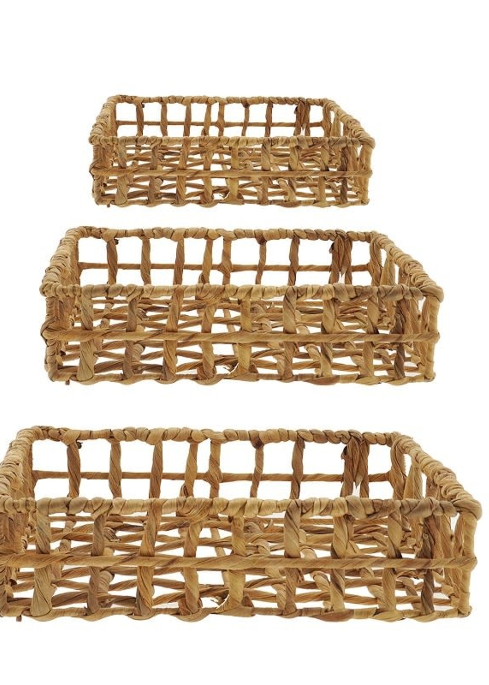 Home Society Mand Tolia