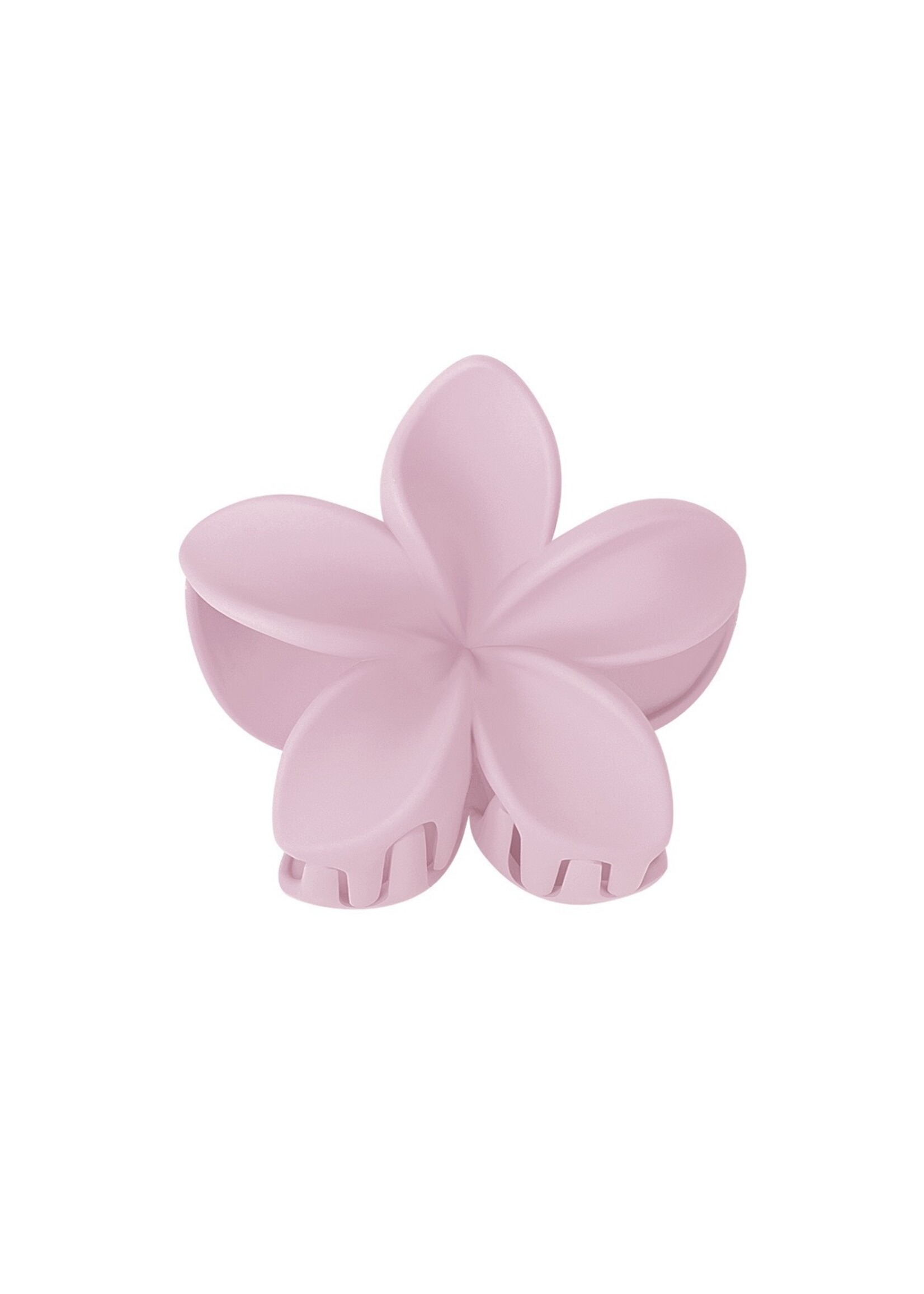 Flo Boutique Haarklem hibiscus