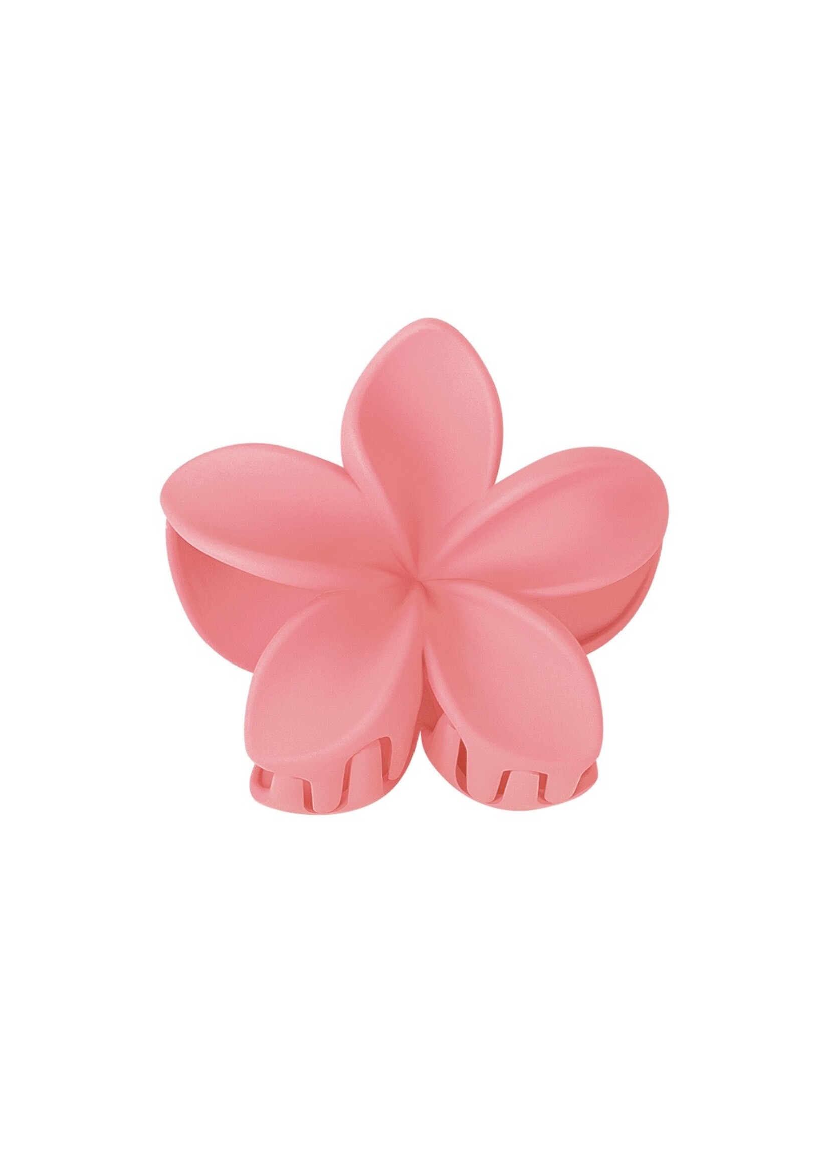 Flo Boutique Haarklem hibiscus