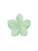 Flo Boutique Haarklem hibiscus