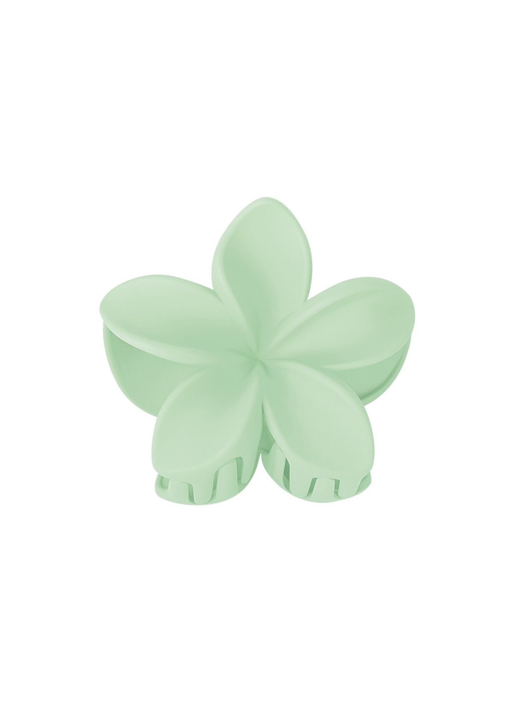 Flo Boutique Haarklem hibiscus