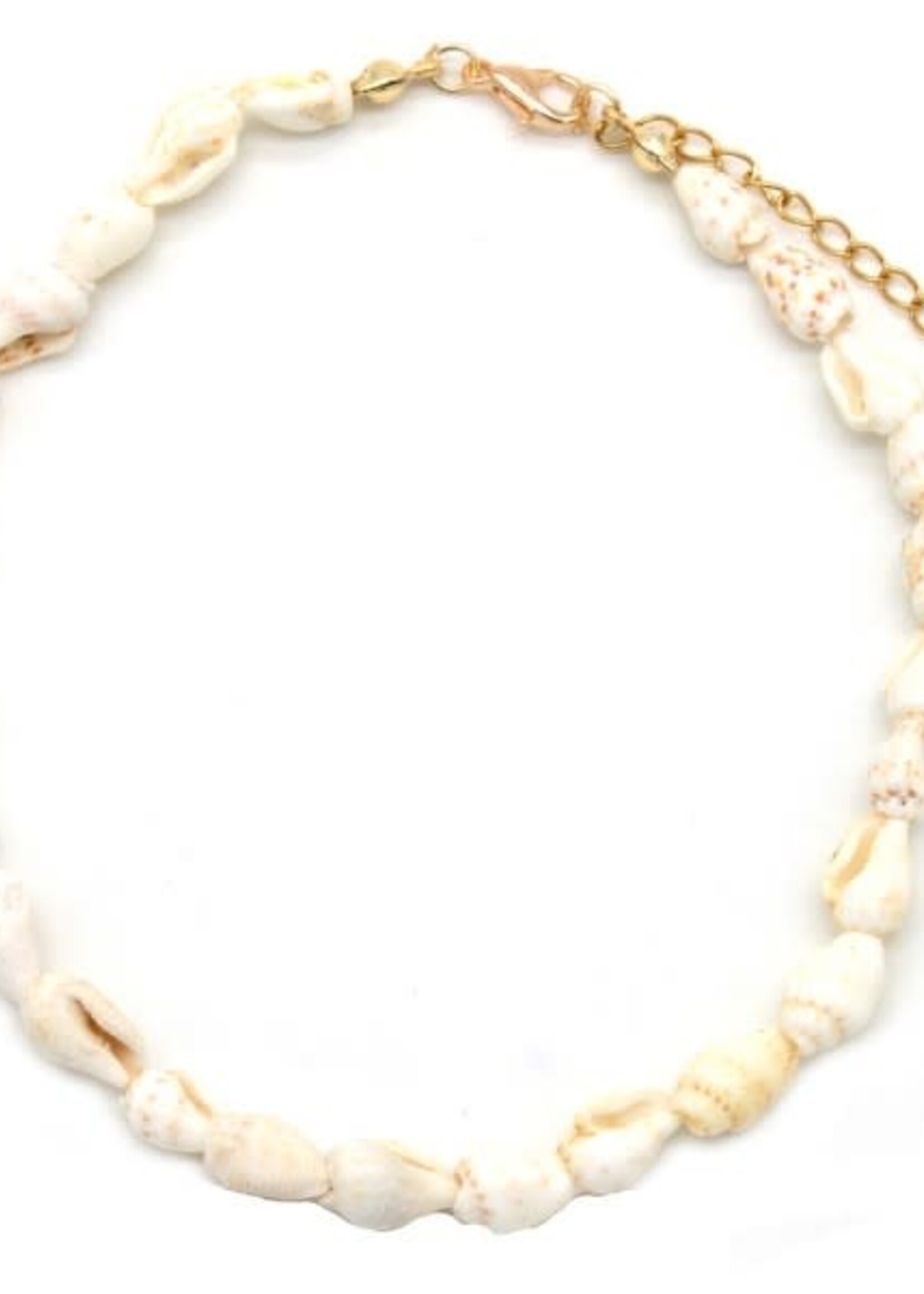 Flo Boutique Enkelbandje shells