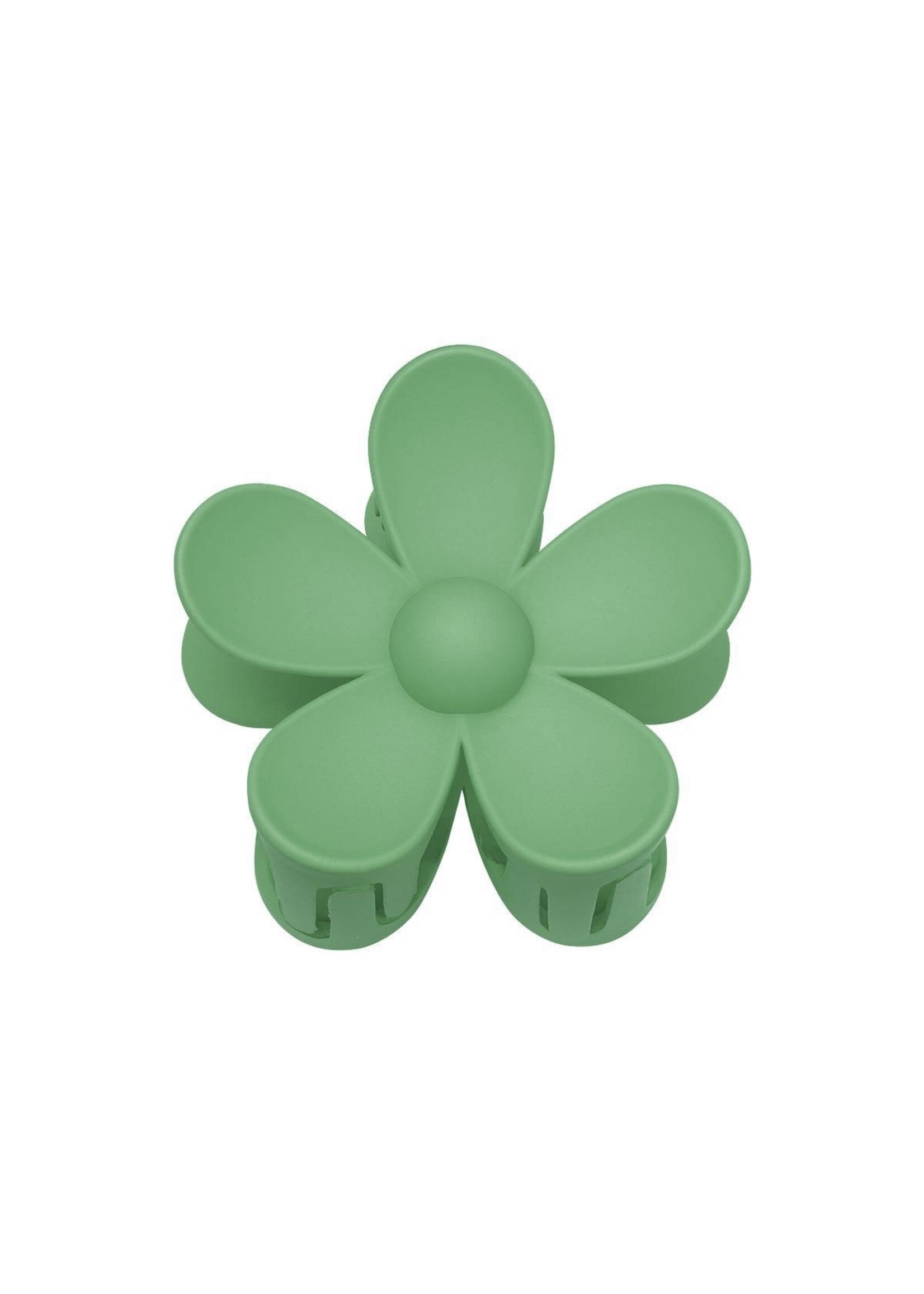 Flo Boutique Haarklem bloem