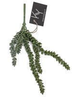 Kolony Erwtenplantje (nep)