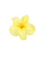 Flo Boutique Haarklem  hawaii love