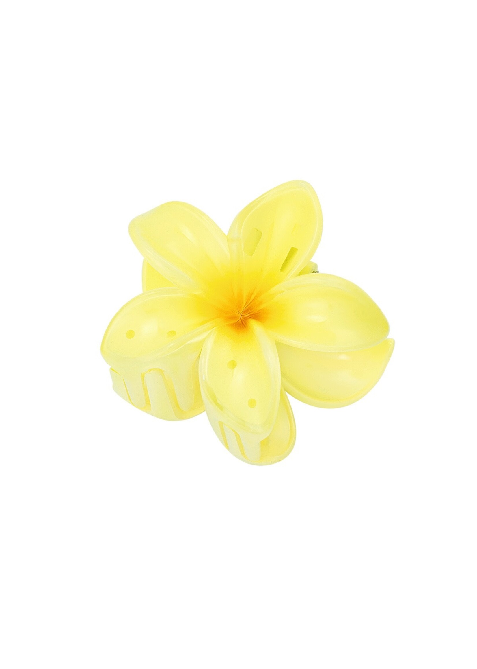 Flo Boutique Haarklem  hawaii love