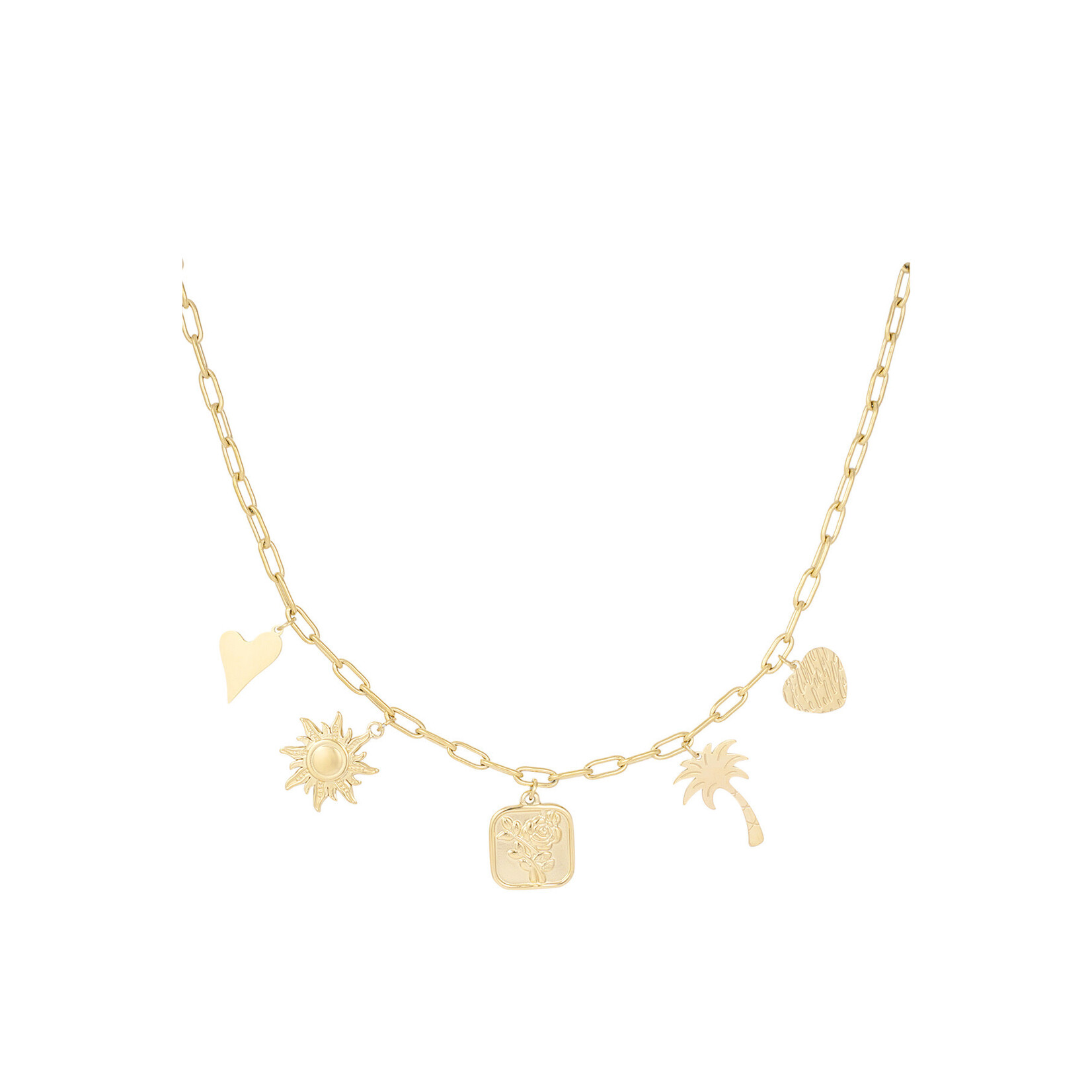 More the Firm Bedelketting Palm Possesion