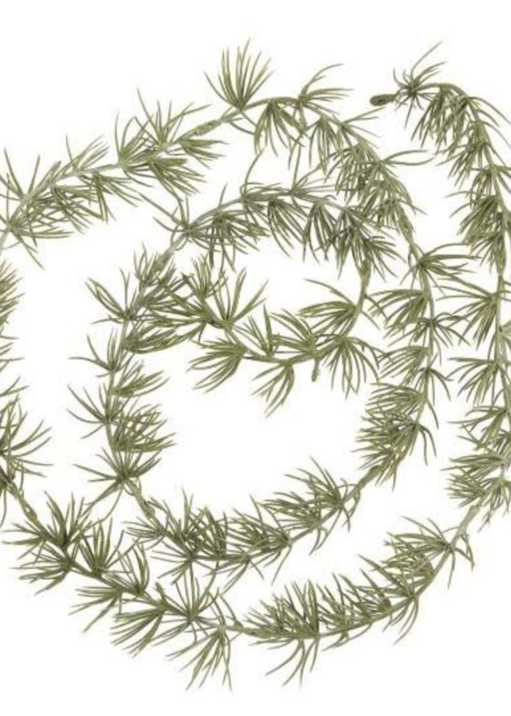 Ib Laursen Slinger ceder 27998-00