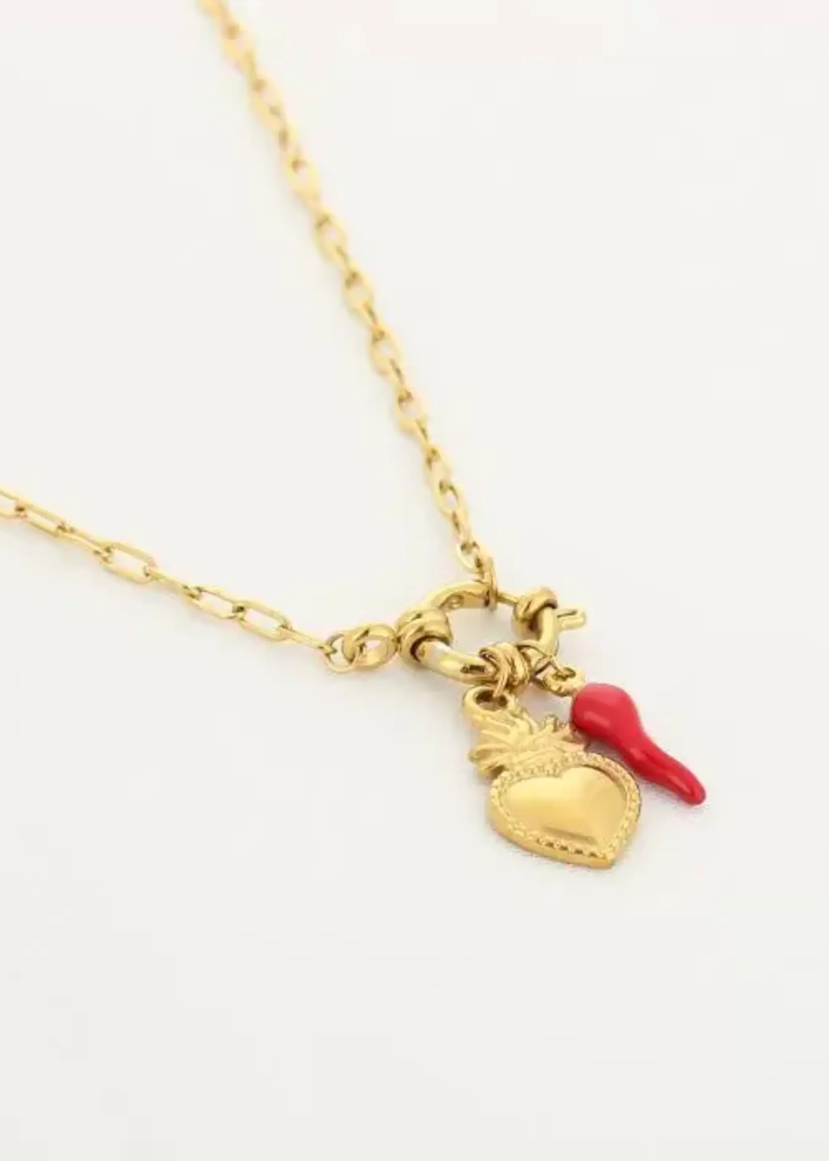 More the Firm Bedelketting pepper goud