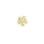 More the Firm Haarklem Daisy gold