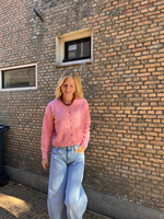 Flo Boutique Vestje Jill Pink