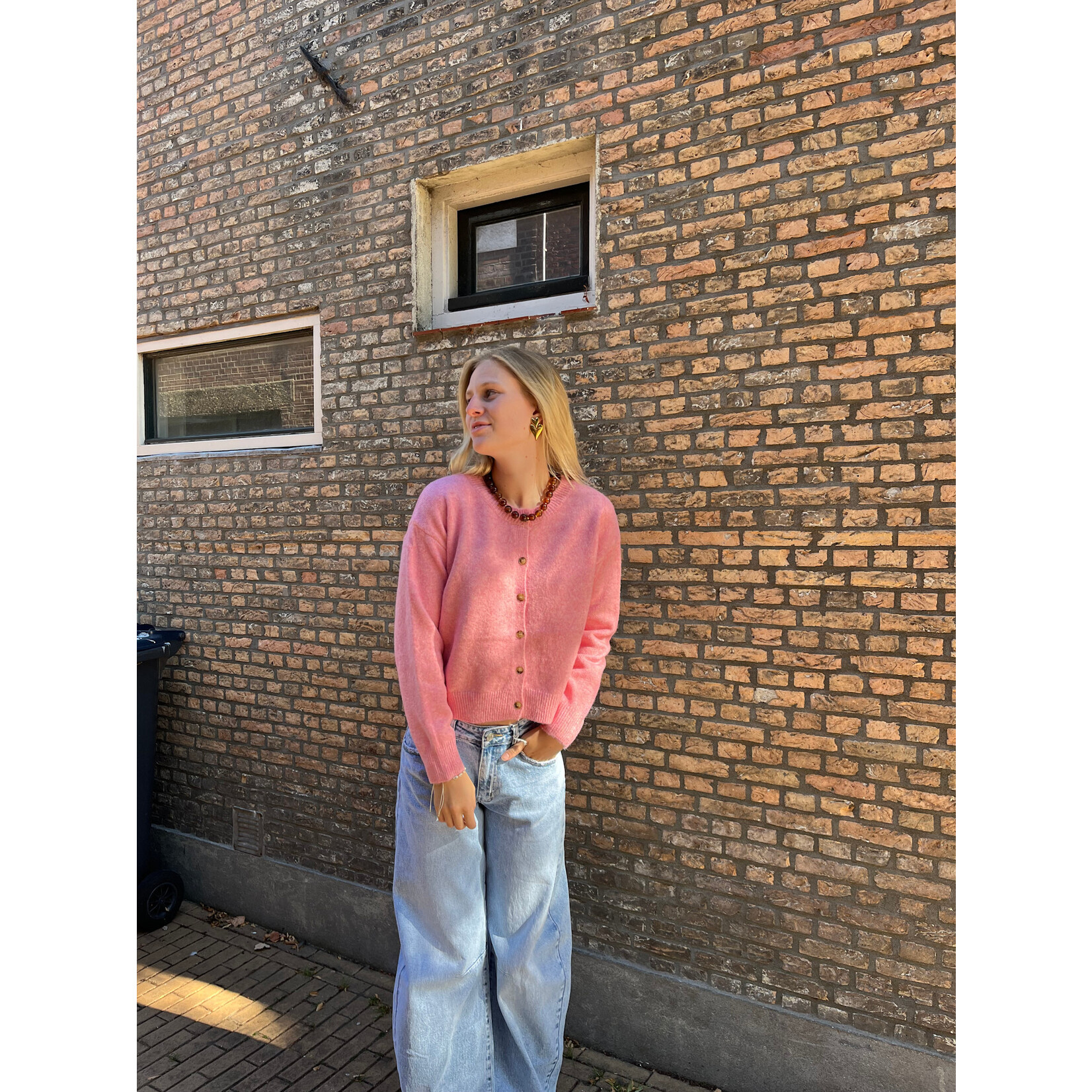 Flo Boutique Vestje Jill Pink