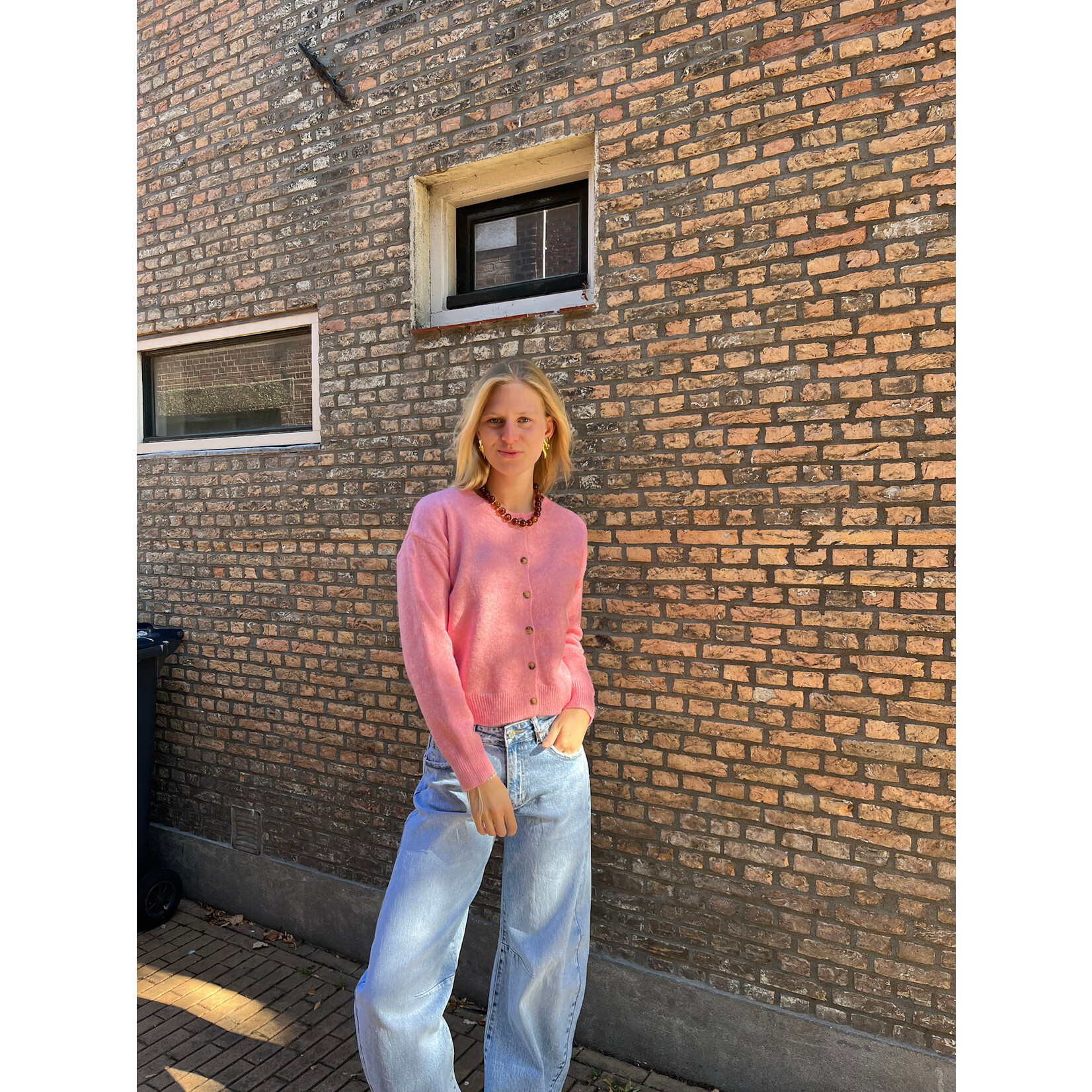 Flo Boutique Vestje Jill Pink
