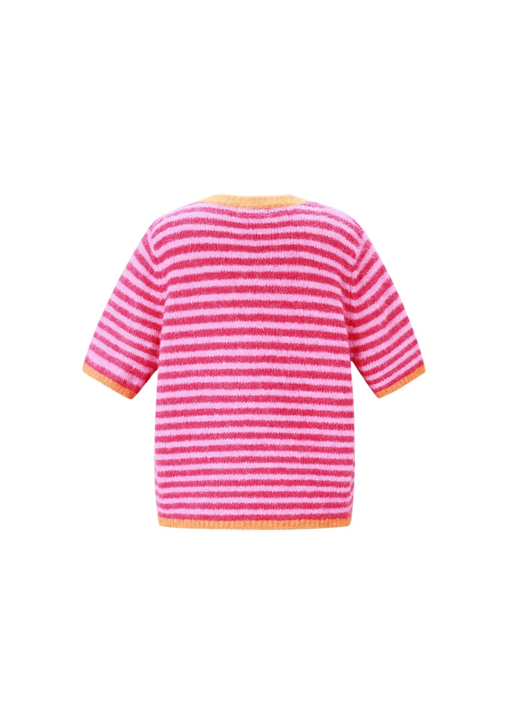 Flo Boutique Vestje Lela Pink