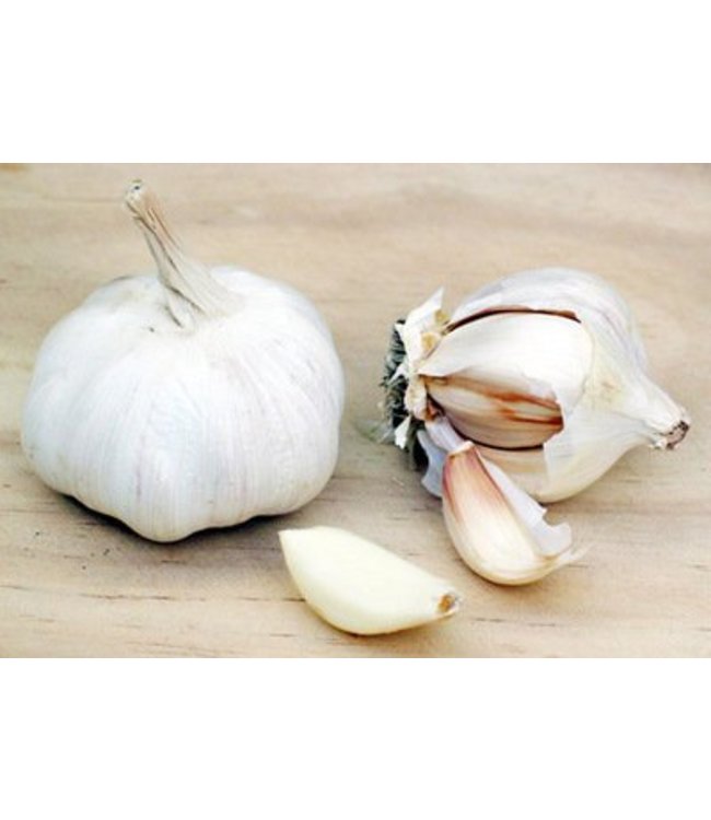 Daidone Gemarineerde knoflook uit Sicilië, Aglio Marinato