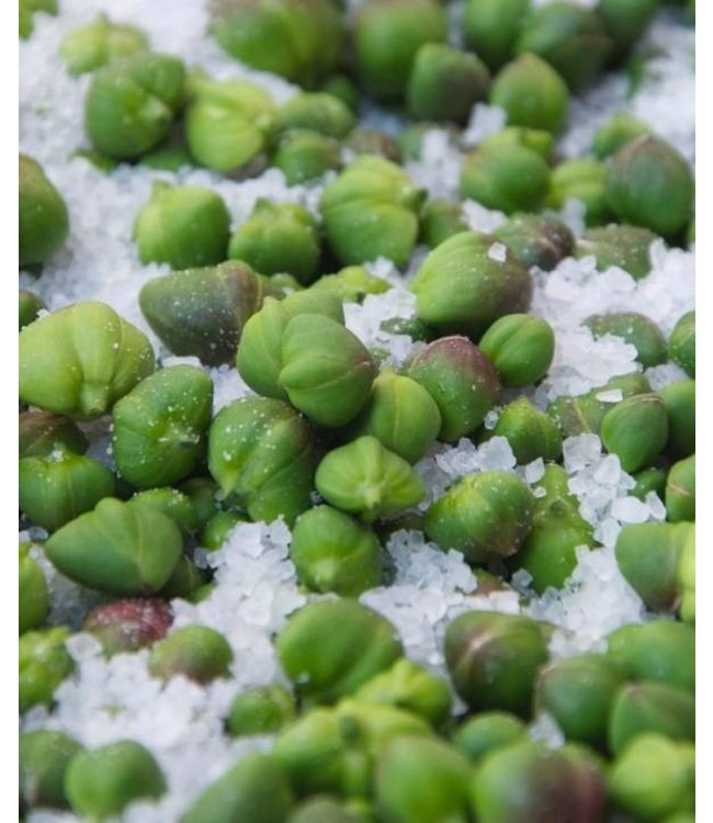 Daidone Gezouten Siciliaanse kappertjes uit Sicilië 200 gram