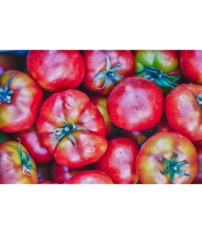 Daidone Rode Pittige Pesto uit Sicilië, Pesto Etna