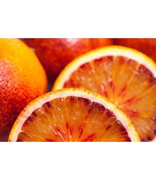 Daidone Chocolade uit Modica met  Citrusvruchten, Cioccolato agli agrumi