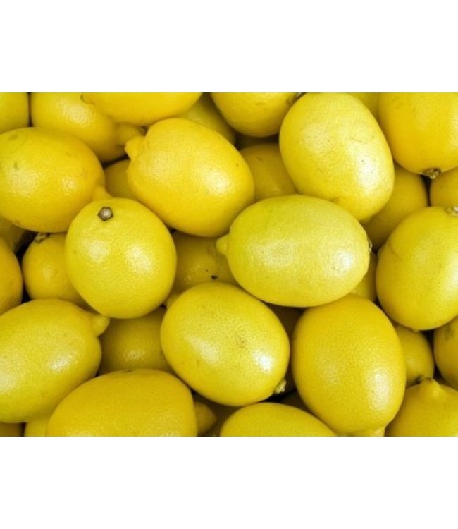 Daidone Chocolade uit Modica met  Citrusvruchten, Cioccolato agli agrumi