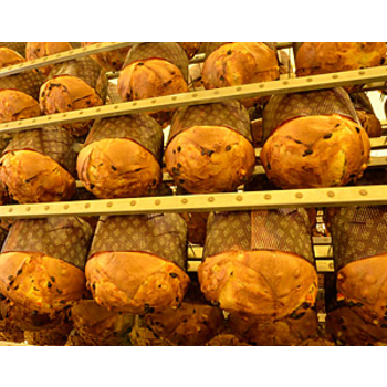 Panettone 