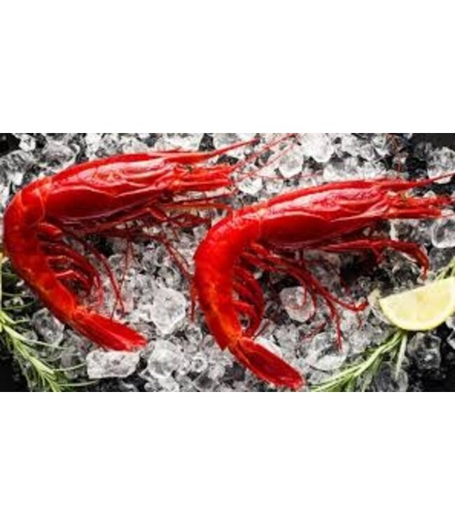 Campo d'oro tomatensaus met garnalen -  Sugo Gambero- uit Sicilie