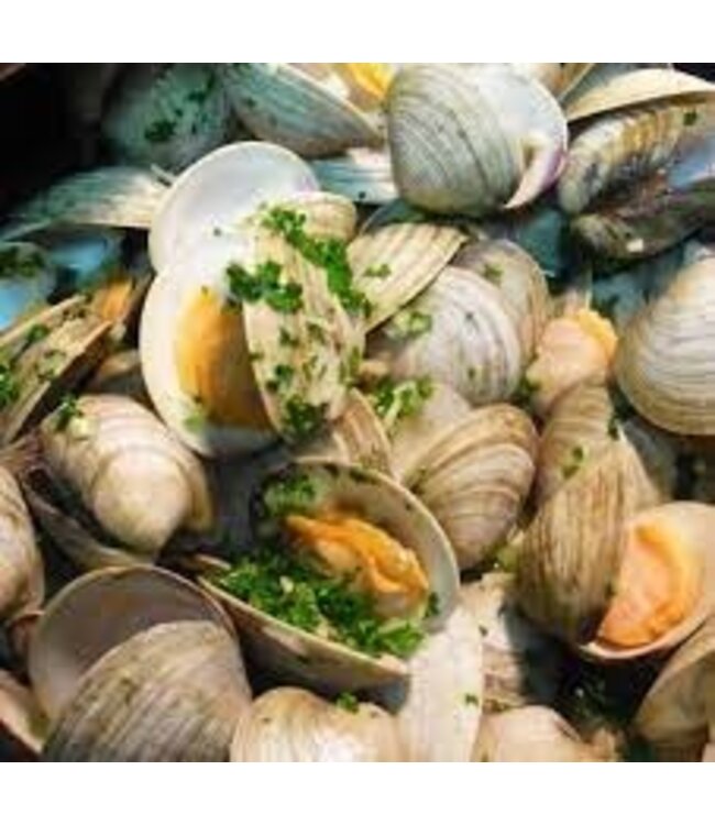 Campo d'oro Tomatensaus met venusschelpen - sugo vongole- uit Sicilie