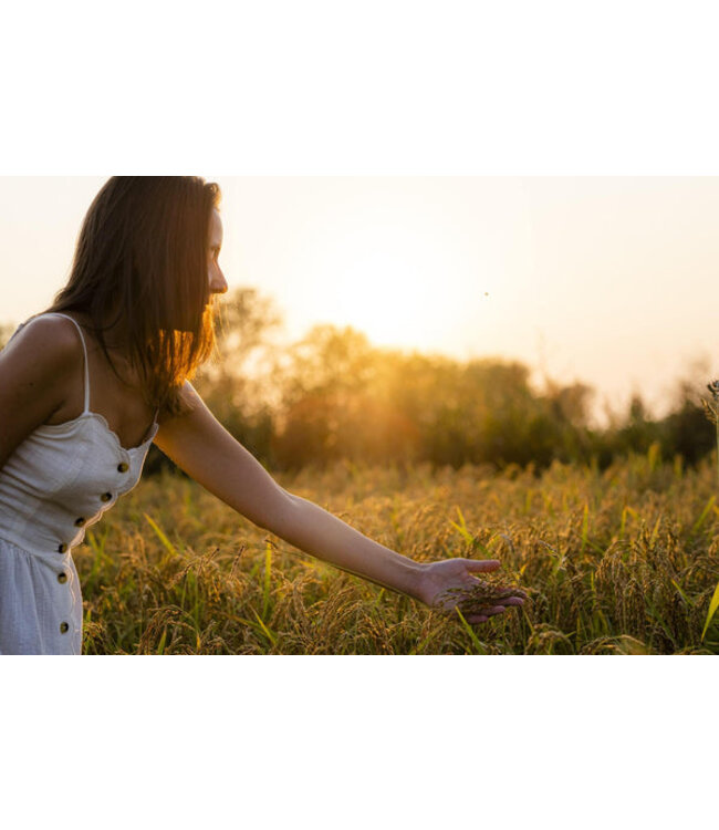 Meracinque Carnaroli classico risotto rijst, Carnaroli classico riso 100% Italiano