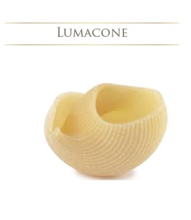 Pastificio D'Aniello  Lumacone I.G.P. - Pasta di Gragnano, 500 gram