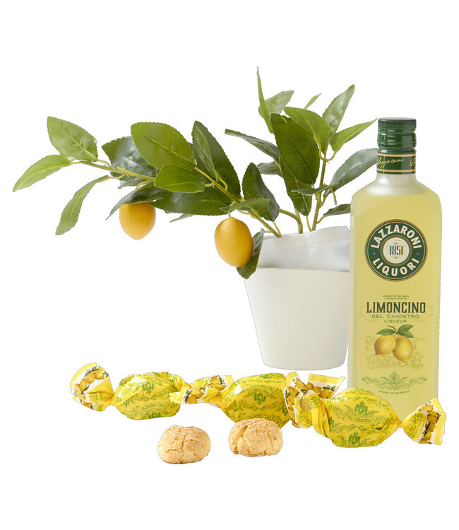 Chiostro di Saronno Limoncino del Chiostro