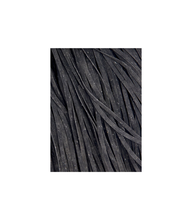 La Campofilone LINGUINE MET INKTVIS INKT -Nero di seppia- Eierpasta