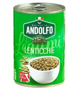 Masseria Andolfo Linzen - Lenticchie 400 gram THT 31-08-2026