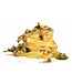 La Campofilone FETTUCCINE ELITE MET eekhoorntjesbrood - Eierpasta