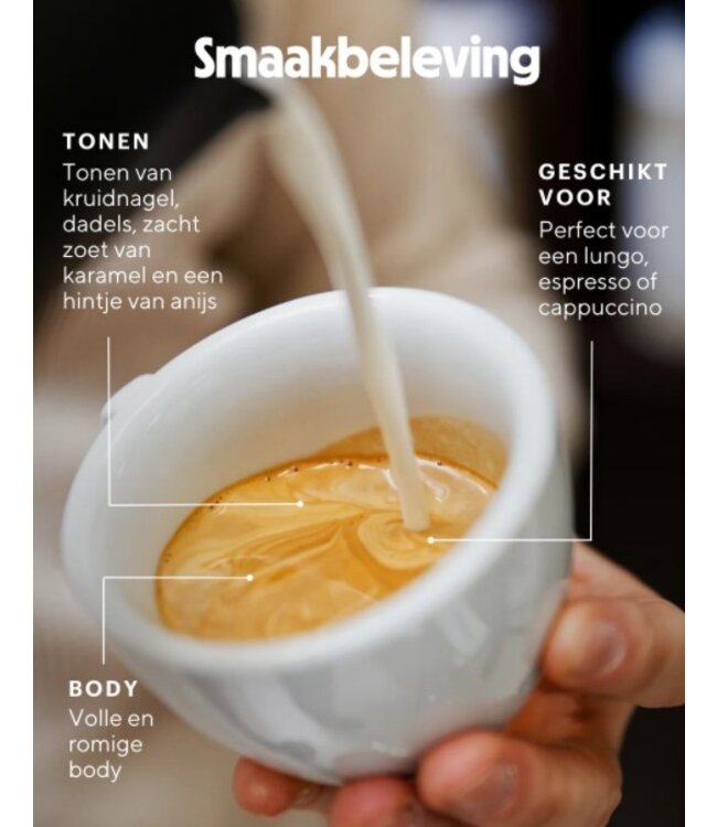 Manetti Koffiebonen "Rosa" Extra Dark Roast