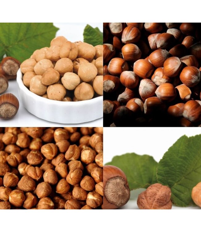 Nocciole d’Elite Hazelnoten  uit Piëmonte IGP delle Langhe