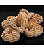 La Firenzotti Mandorlotti - Koekjes uit Toscane