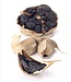Umami Zwarte knoflook  - 35 gram