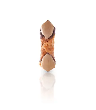 Daidone Siciliaanse Cannulicchi / Cannoli Café