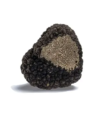 Verse wintertruffel-sortering 18 gram -alleen af te halen in Vianen