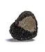 Verse zomertruffel-sortering 15 gram