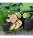 Verse zomertruffel-sortering 15 gram