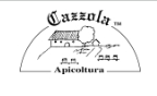 Cazzola dal 1980