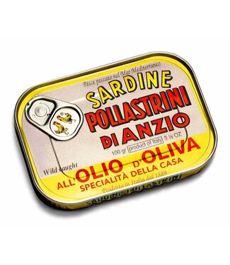 Pollastrini Sardientjes in olijfolie- Sardine all' olio di oliva