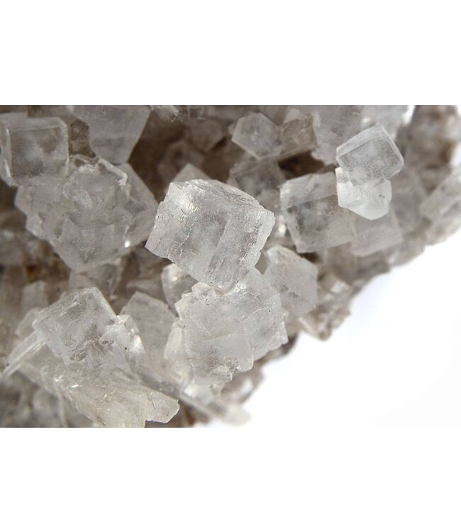 Daidone Sale Marino naturale di Trappani