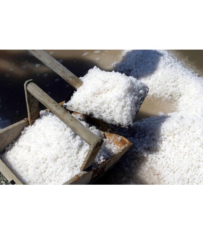 Daidone Sale Marino naturale di Trappani