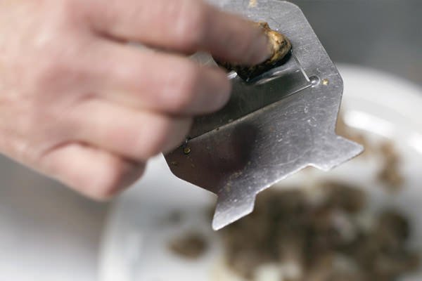 Truffels, hoe maak je er iets lekkers van?
