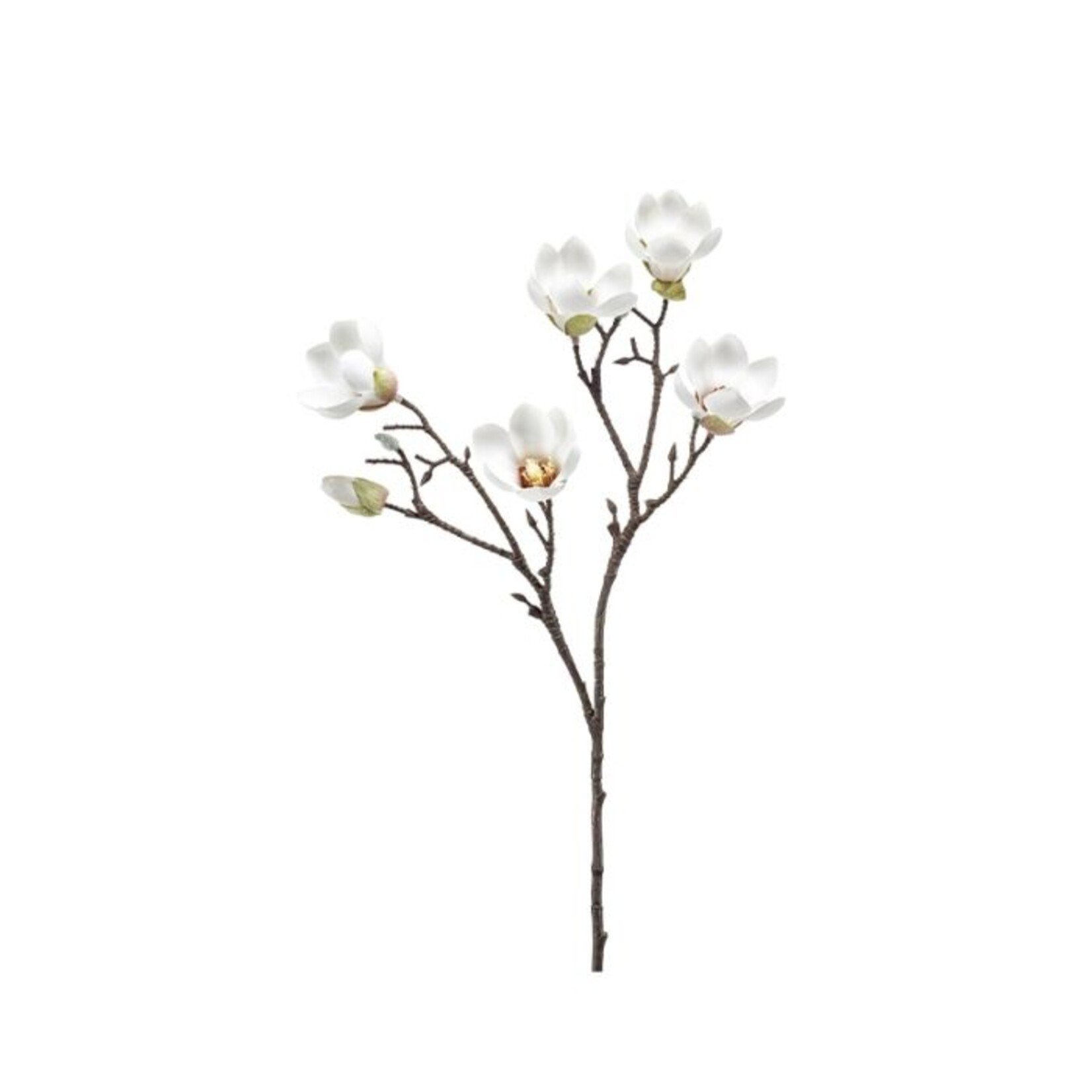 Emerald Emerald Magnolia Mini Branch White Cream 425260