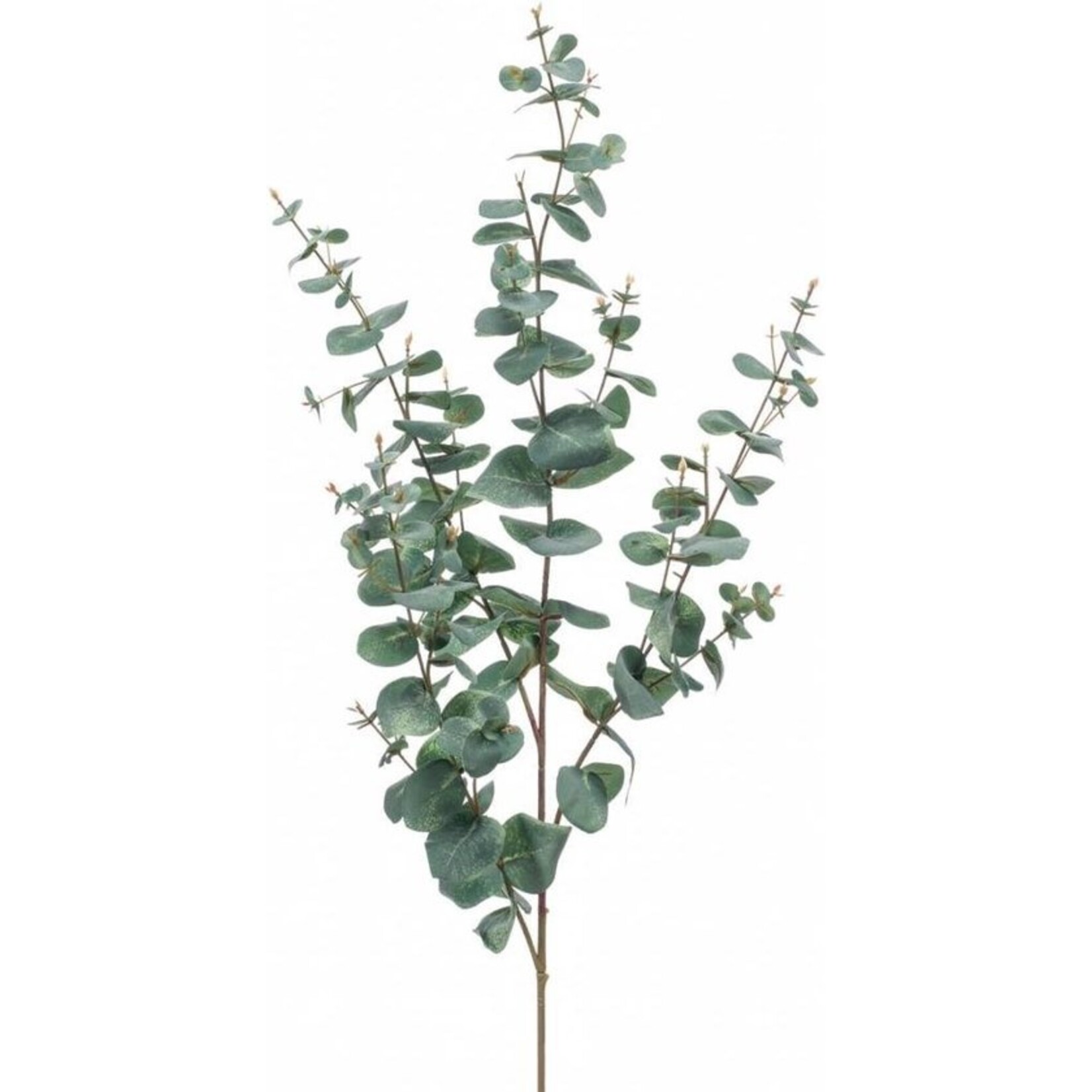 Emerald Emerald Eucalyptus Spray Green Grey 422069