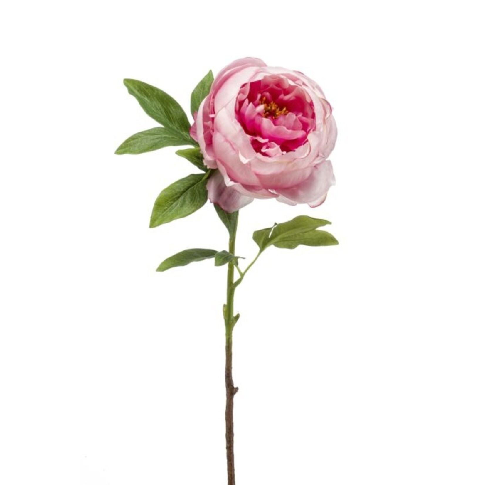 Emerald Emerald Zijden Kunstbloemen Pioen Roos 63cm 428055