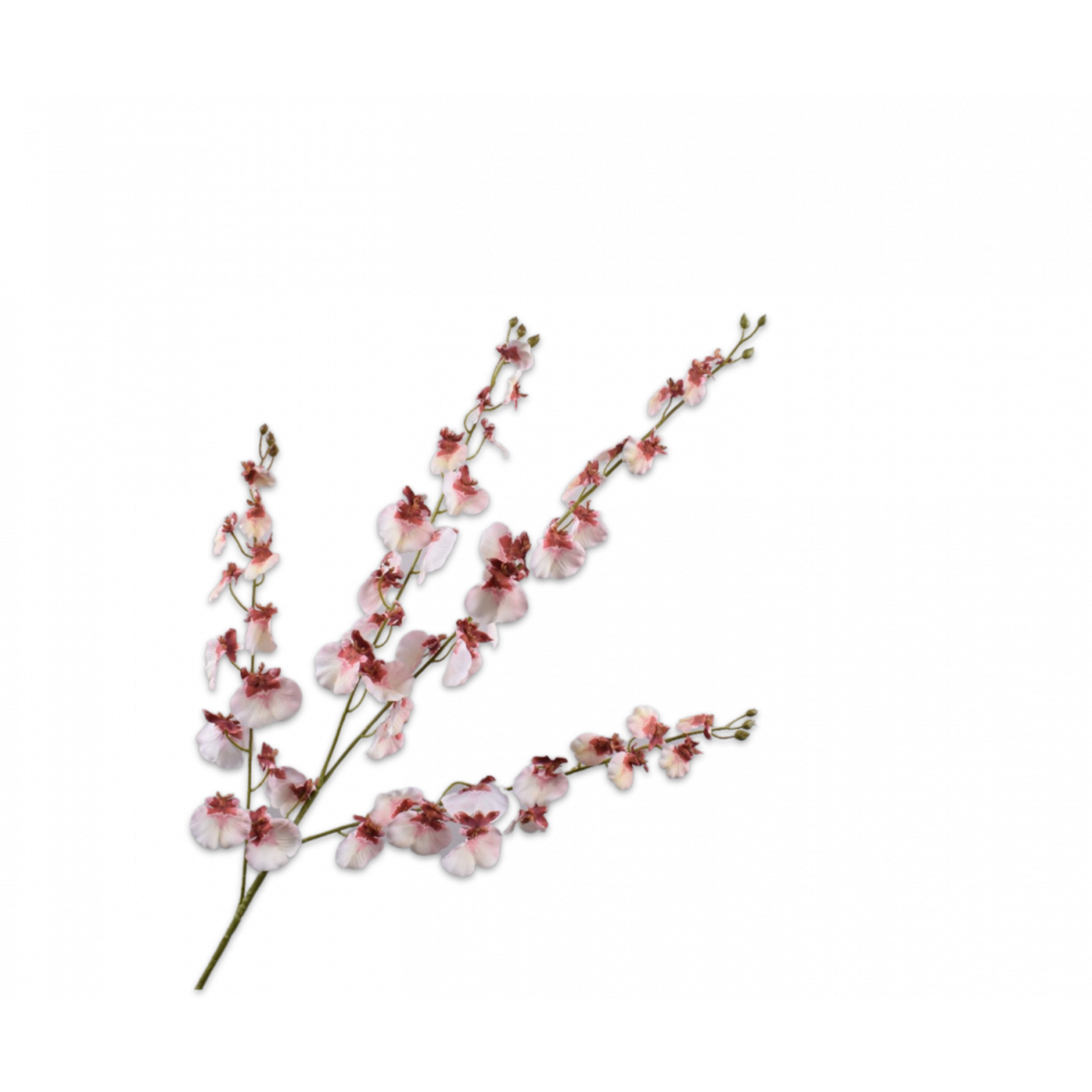 Silk-ka Silk-ka Oncidium Orchid Pink 150045