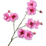 Zijden Kunstbloemen